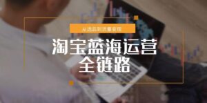 淘宝蓝海运营全链路，从选品到流量变现，小类目突围完整方案-知识创作