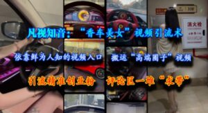 凡视知音：“香车美女”视频引流术，依靠鲜为人知的视频入口，搬运“高端圈子”视频，引流精准创业粉，评论区一堆“求带”-知识创作