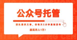 【公众号托管 】我提供文章，你每天５分钟复制发布，最高月入1W-知识创作