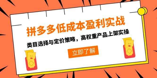拼多多低成本盈利实战，类目选择与定价策略，高权重产品上架实操-知识创作