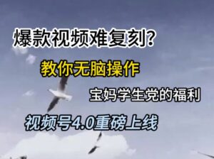 视频号4.0重磅上线，爆款视频难复刻？教你无脑操作宝妈学生党的福利【揭秘】-知识创作