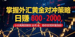 掌握外汇黄金对冲策略，日赚 800 - 2000，小众高回报创业机会，助你实...-知识创作
