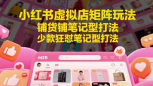 小红书虚拟店矩阵玩法，铺货铺笔记型打法，少款狂怼笔记型打法(更新)-知识创作