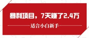 最新暴利项目，每单收益轻松在300以上，7天赚了2.4万-知识创作