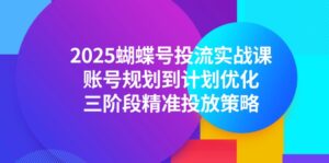 2025蝴蝶号投流实战课，账号规划到计划优化，三阶段精准投放策略-知识创作