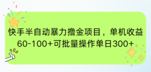 快手半自动暴力撸金项目，单机收益60-100+可批量操作单日300+-知识创作