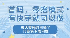 首码零撸项目，有快手就可以做，每天业务时间搞个几张不是问题【揭秘】-知识创作