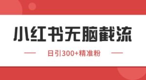 小红书截流同行客源，独家野路子获客玩法 日引200+暴力获客【揭秘】-知识创作