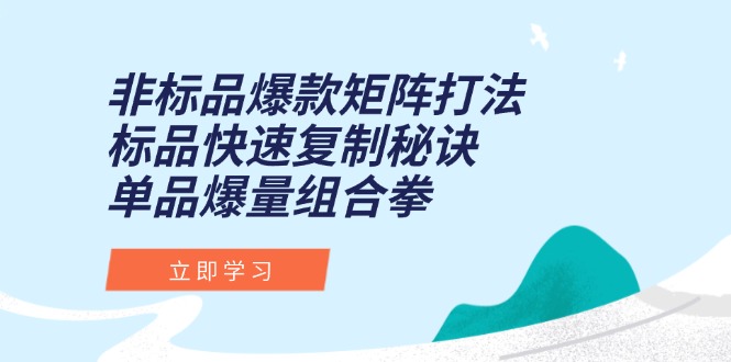 非标品爆款矩阵打法，标品快速复制秘诀，单品爆量组合拳-知识创作