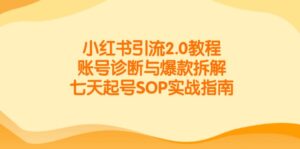 小红书引流2.0教程，账号诊断与爆款拆解，七天起号SOP实战指南-知识创作
