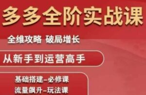 拼多多全阶实战课程，全维攻略，破局增长，从新手到运营高手-知识创作