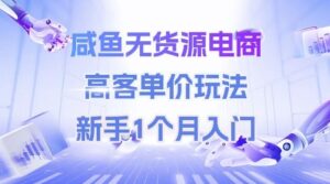 咸鱼无货源电商，高客单价玩法，新手1个月入门-知识创作