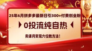 25年6月拼多多最新日引300+付费创业粉，0投流纯自热 卖课月变现六位数方法-知识创作