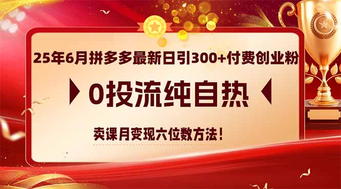 25年6月拼多多最新日引300+付费创业粉，0投流纯自热 卖课月变现六位数方法-知识创作