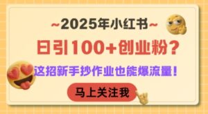 2025年小红书日引100+创业粉？这招新手抄作业也能爆流量！-知识创作