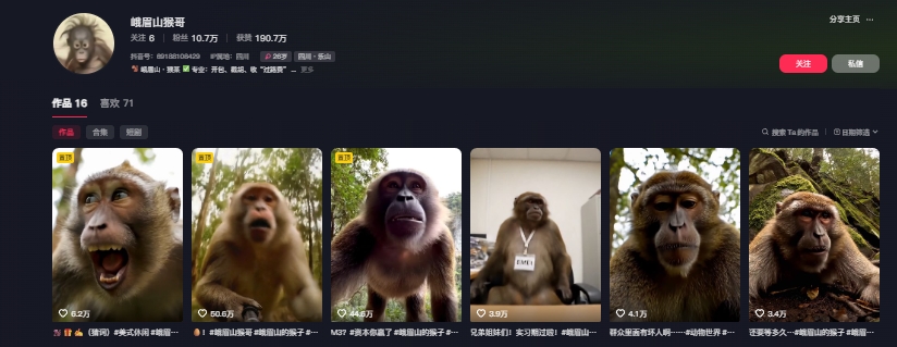 最新爆火的峨眉山猴子短视频制作教程，条条点赞10w+，谁做谁火【教程+提示词】-知识创作