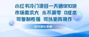 小红书冷门项目一天收益9张，市场需求大，0成本，可复制性强可以矩阵操作-知识创作