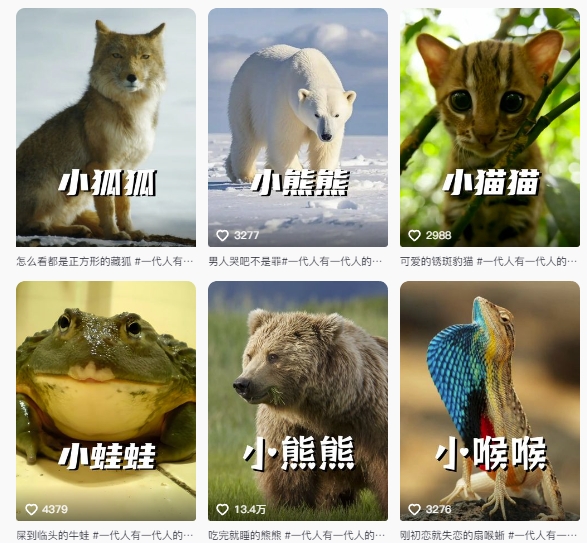 最新搞笑动物百科详细解说课程，蓝海赛道，流量非常大，轻松签独家进精选-知识创作