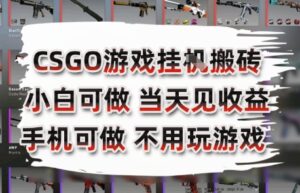 CSGO游戏挂G搬砖，小白纯手机即可操作，不用电脑打游戏，日入3张+，副业网创项目【揭秘】-知识创作