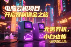 电脑云机项目 暴力撸金玩法，不需要养机 配置没有要求 单机100个窗口一...-知识创作