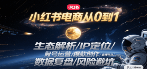 小红书电商从0到1：生态解析/IP定位/ 账号运营/爆款创作/直播带货/数据复盘/风险避坑-知识创作