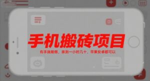 手机搬砖项目，有手就能做，亲测一小时几十，苹果安卓都可以-知识创作
