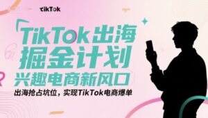 TikTok出海掘金计划，兴趣电商新风口，出海抢占坑位，实现TikTok电商爆单-知识创作