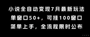 小说全自动变现7月玩法，单窗口50+，可挂100窗口，简单上手，全流程限时公布【揭秘】-知识创作