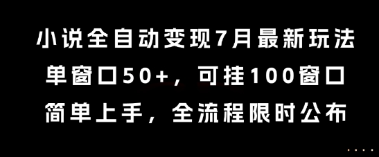 小说全自动变现7月玩法，单窗口50+，可挂100窗口，简单上手，全流程限时公布【揭秘】-知识创作