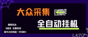 大众采集全自动玩法，新手小白轻松一天5张+，操作简单零成本【揭秘】-知识创作
