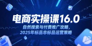 淘宝电商运营课16.0，自然搜索与付费推广攻略，2025年标品非标品运营策略-知识创作
