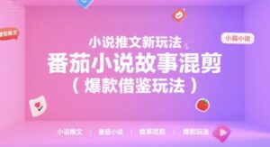 小说推文新玩法，番茄小说故事混剪(爆款借鉴玩法)-知识创作