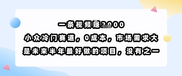 一条视频挣1k，小众冷门赛道，0成本，市场需求大，是未来半年最好做的项目，没有之一-知识创作