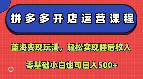 拼多多开店运营课程：蓝海变现玩法，轻松实现睡后收入，零基础小白也可日入5张-知识创作