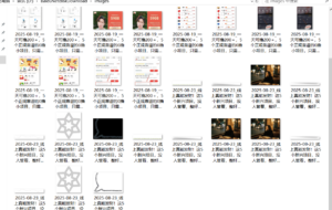 『高端精品』最新公主号无水印下载工具，图片 视频 音频 无脑小白一键下载-知识创作