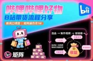 哔哩哔哩好物，B站带货流程分享，新风口项目，矩阵操作月1W-知识创作
