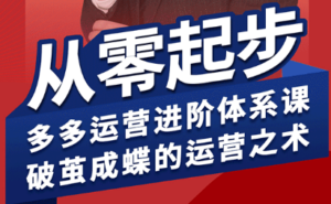 海神·拼多多运营进阶系统课(更新8月)-知识创作