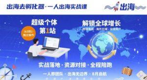 出海去孵化器，一人出海实战课，​超级个体第1站，解锁全球增长-知识创作