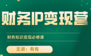 有有老师·财务IP变现营，财务知识变现必修课-知识创作