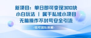 新项目单日即可变现3张的小白玩法无脑操作不封号安全引流-知识创作