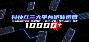 抖快红三大平台矩阵运营，12小时SOP实战+流量获取-风控-扩量，月引10000+线索-知识创作