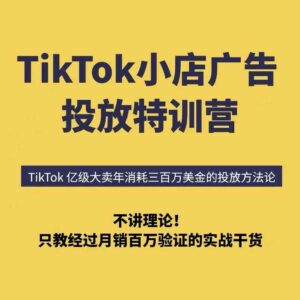 TikTok小店广告投放特训营，6天破局计划专治各种“投不动”，教你经过月销百万验证的实战干货-知识创作