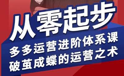拼多多运营进阶系统课，从零起步，多多运营进阶体系课，破茧成蝶的运营之术-知识创作
