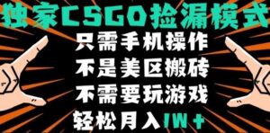 CSGO自动捡漏项目，最新独家玩法，不是美区搬砖，不需要了解和玩游戏，新手小白轻松月入1W+【揭秘】-知识创作