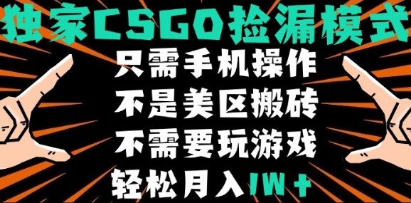 CSGO自动捡漏项目，最新独家玩法，不是美区搬砖，不需要了解和玩游戏，新手小白轻松月入1W+【揭秘】-知识创作