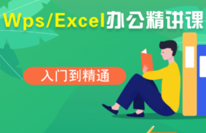 夏老师·WPS Excel办公(精讲课)-知识创作