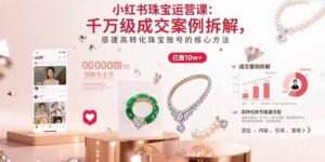小红书珠宝运营课：千万级成交案例拆解，搭建高转化珠宝账号的核心方法-知识创作