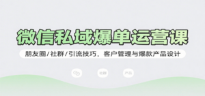 微信私域爆单运营课：朋友圈/社群/引流技巧，客户管理与爆款产品设计-知识创作