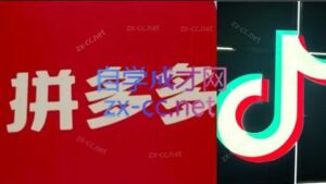 老陶电商·拼多多+抖音小店无货源开店(更新8月)-知识创作