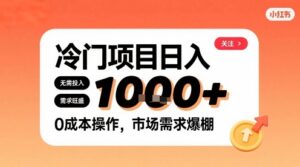 在小红书上发现个冷门路子，需求不小，零成本操作，每天能有1k进账-知识创作